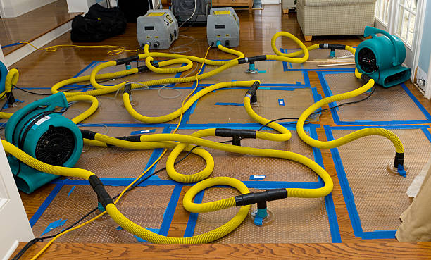 Professional Burst Pipe Water Damage technician working in Fairgrove, MI